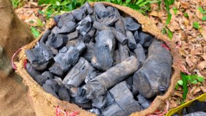 How to start a charcoal business in Uganda