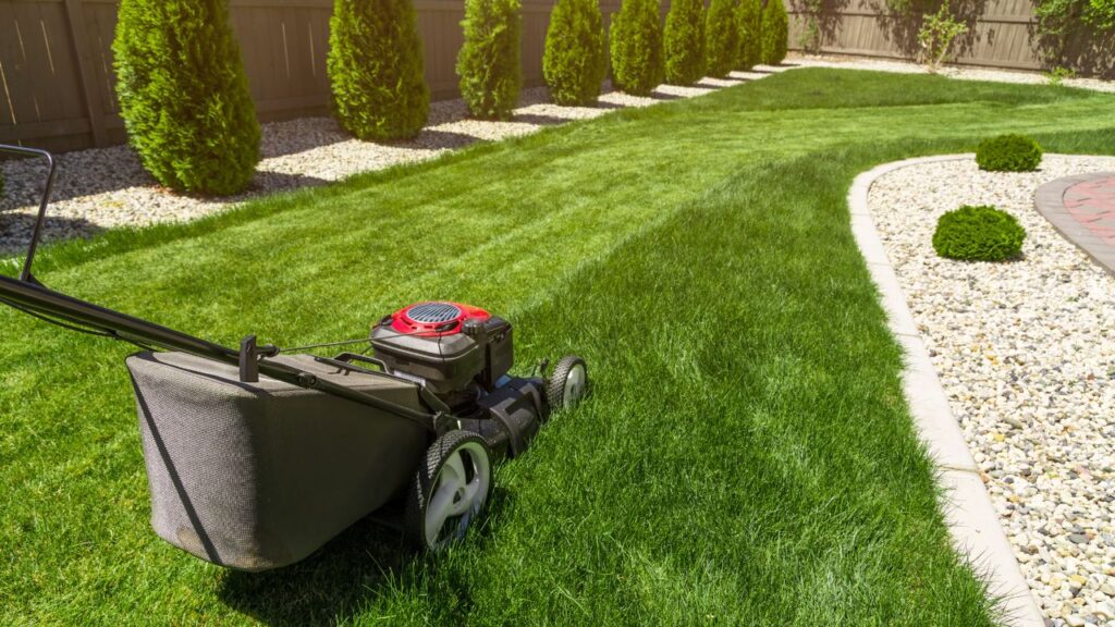 How to Start a Lawn Mowing Business in Uganda