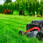 How to Start a Lawn Mowing Business in Uganda
