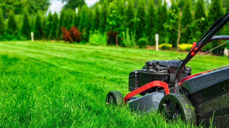 How to Start a Lawn Mowing Business in Uganda